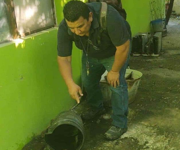 Intensifican la abatización