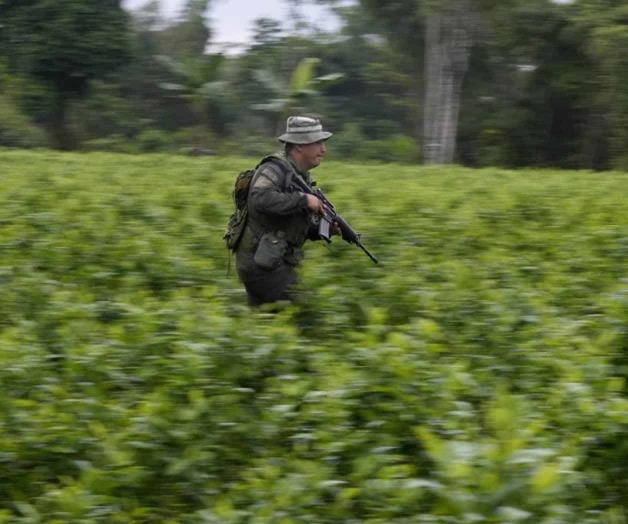 Colombia pide revisar hoja de coca como sustancia prohibida Colombia pide revisar hoja de coca como sustancia prohibida