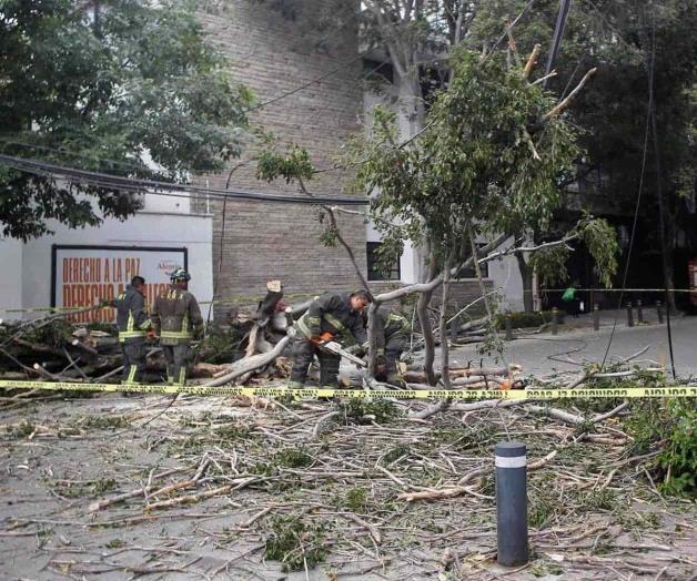 Anticipan cuarto día con vientos intensos; hay alerta