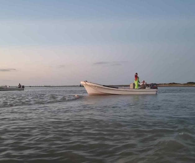Repunta la captura de jaiba en la laguna Repunta la captura de jaiba en la laguna