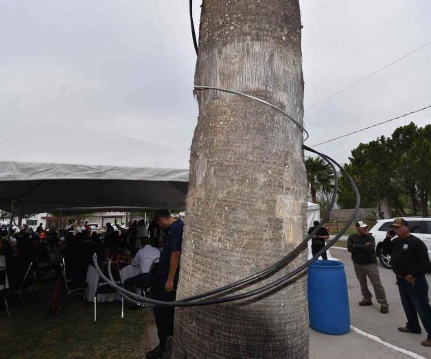 Cables de alta tensión arriesgan celebración