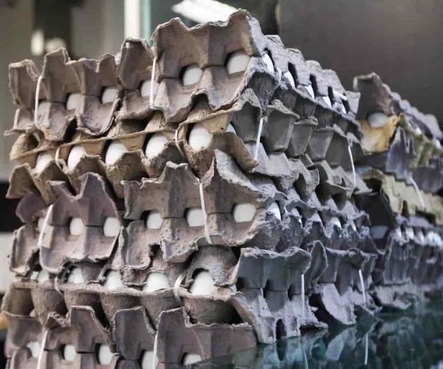 Prevén alza del precio de huevo hasta mayo