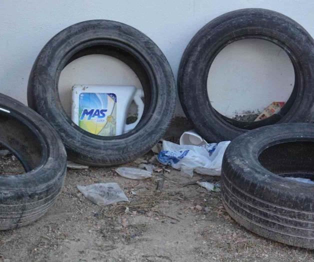 Insoportables los mosquitos