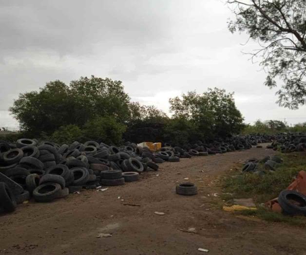 Cobra vida extiradero