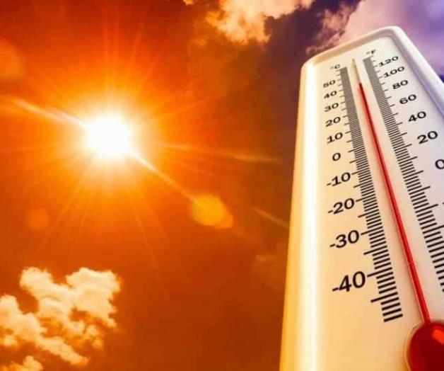 Identifican una ola de calor en el fondo del océano Identifican una ola de calor en el fondo del océano