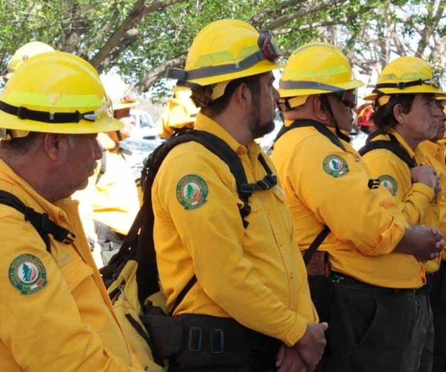 Enciende sequía alarmas