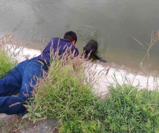 Salvan a  perrito de un canal