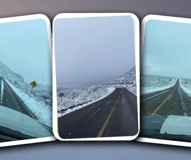 Registra Chihuahua nevadas en 18 municipios Registra Chihuahua nevadas en 18 municipios