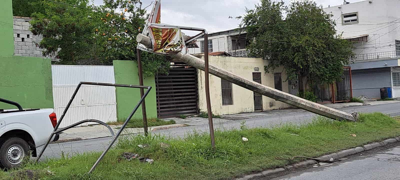 Uno más está a punto de llegar al suelo, en camellón central de avenida Mil Cumbres.