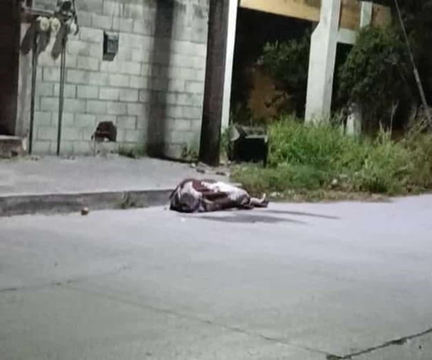 Auxilian particulares