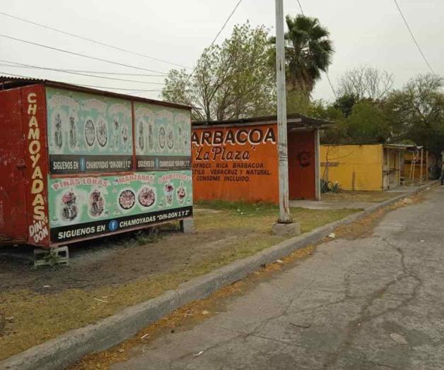 Invade vendimia en áreas verdes Invade vendimia en áreas verdes