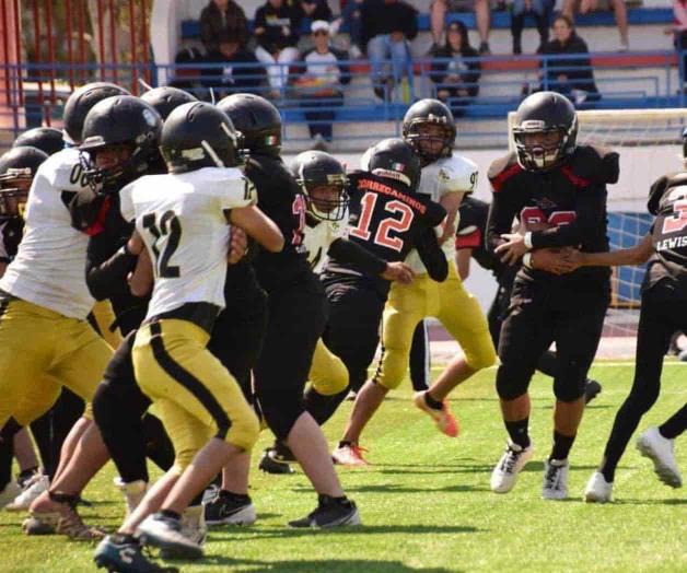 Doblegan Sharks a los Avispones