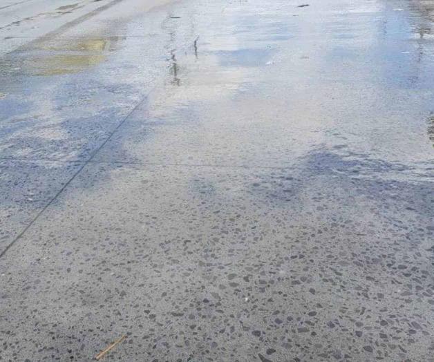 Están hartos de despilfarro