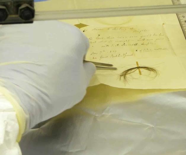 ¿Qué hizo enfermar a Beethoven? Buscan pistas en su cabello