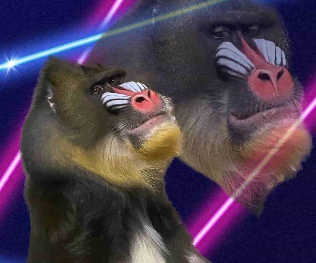 Establecen nuevo modelo de precios en el Zoológico Establecen nuevo modelo de precios en el Zoológico