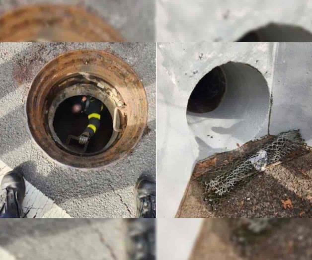 Rescatan a 5 niños que se metieron al drenaje