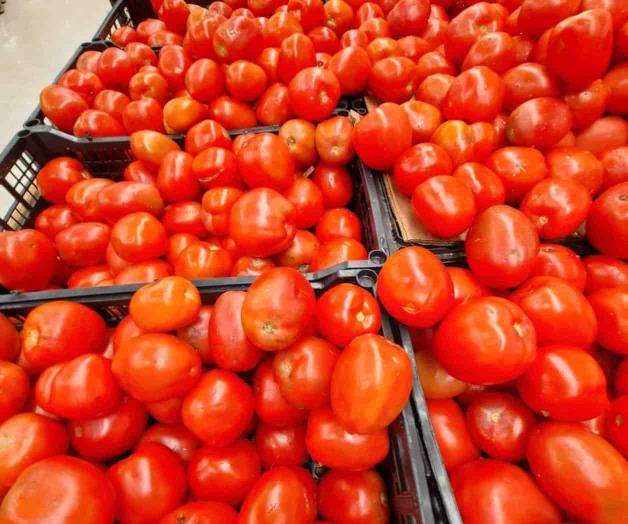 Huevo, aguacate y papa lideran alza en precios Huevo, aguacate y papa lideran alza en precios