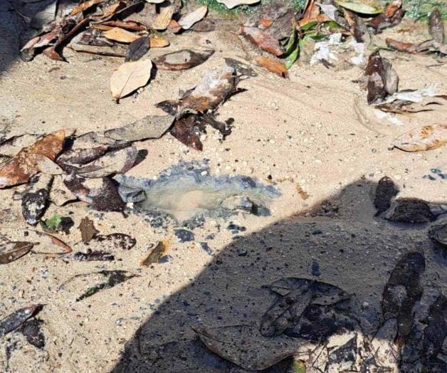 Se quejan por fugas de agua