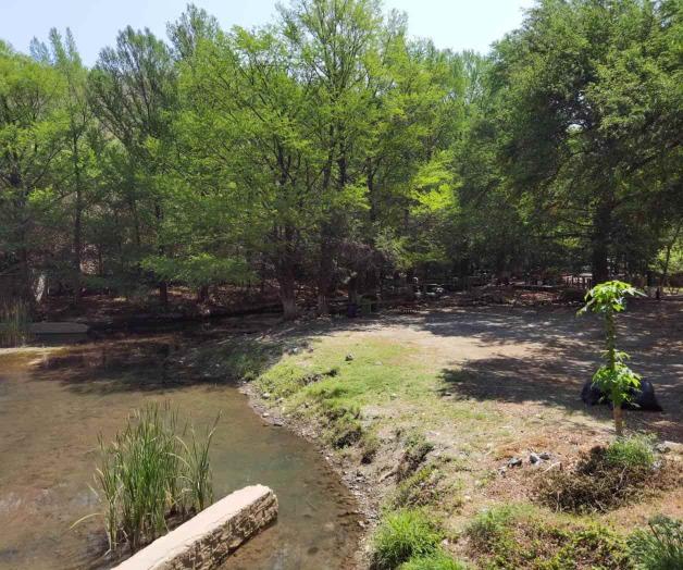 Dan ‘manita de gato’ a parque ‘Los Troncones’ Dan ‘manita de gato’ a parque ‘Los Troncones’