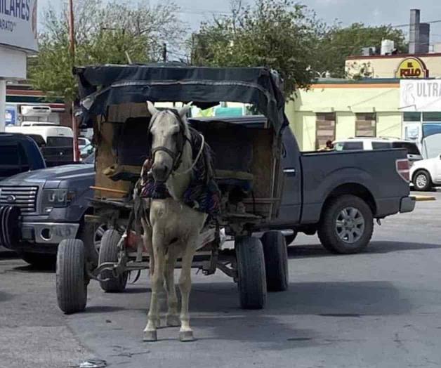 Todavía se observan carretoneros en la ciudad Todavía se observan carretoneros en la ciudad