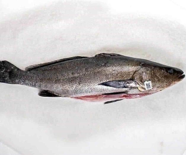 Prohíben comercio de flora y fauna con México