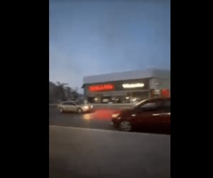 Captan influencers choque en vivo