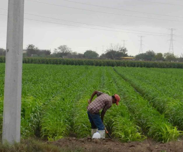 Temen granizada en el agro, este martes Temen granizada en el agro, este martes