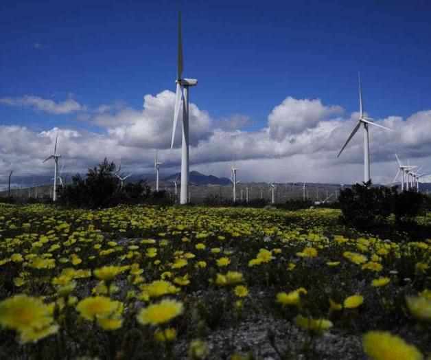 Prevén repunte y crecimiento veloz de energía eólica mundial Prevén repunte y crecimiento veloz de energía eólica mundial