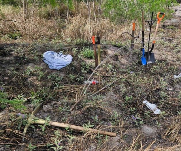 Huesos al descubierto