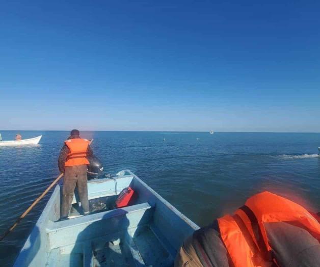 Afecta la inestabilidad en precio de camarón