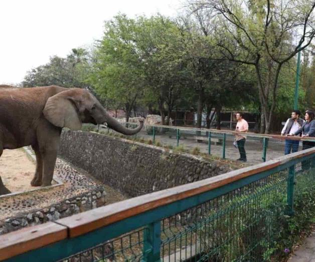 Dice PAN no a eventual cierre de La Pastora