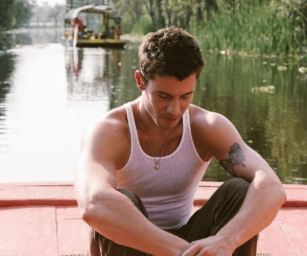 Shawn Mendes ya piensa en comprarse casa en México: Amo su cultura