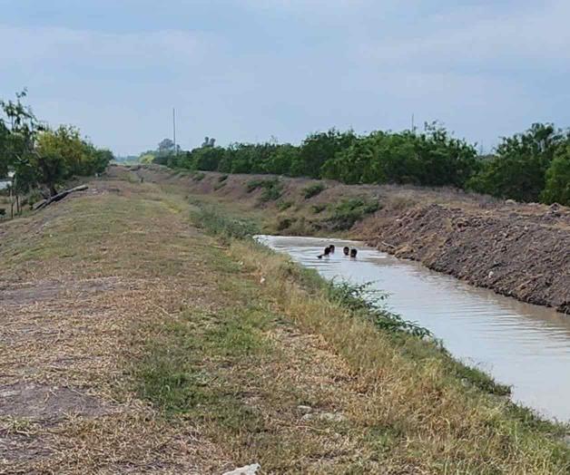 Usan canales como alberca