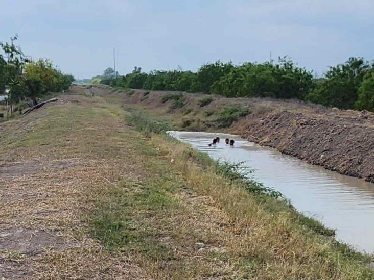 Usan canales como alberca Usan canales como alberca