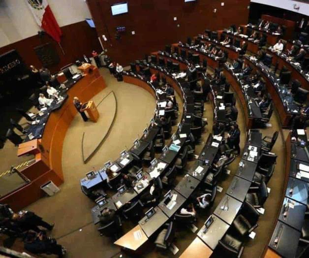 Impugna Senado freno de Corte al Plan B