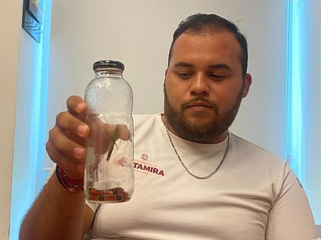 Capturan una Coralillo en Altamira