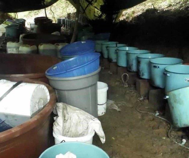 En 2023 se han decomisado 193 toneladas de precursores químicos