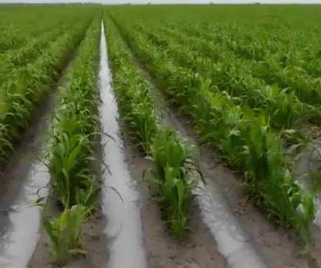 Reciben campesinos agua como ‘bendición’