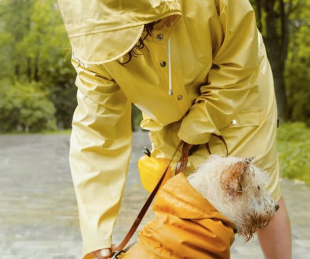 Hombre derrite corazones al proteger a su mascota de la lluvia