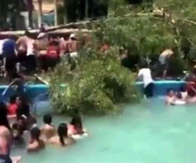 Cae árbol en balneario de Silao, Guanajuato; muere bebé