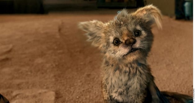 ¡Fantástica historia!