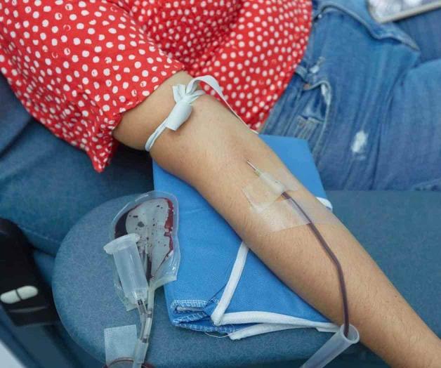 ¿Donarás sangre en el IMSS? Puedes sacar cita ¿Donarás sangre en el IMSS? Puedes sacar cita