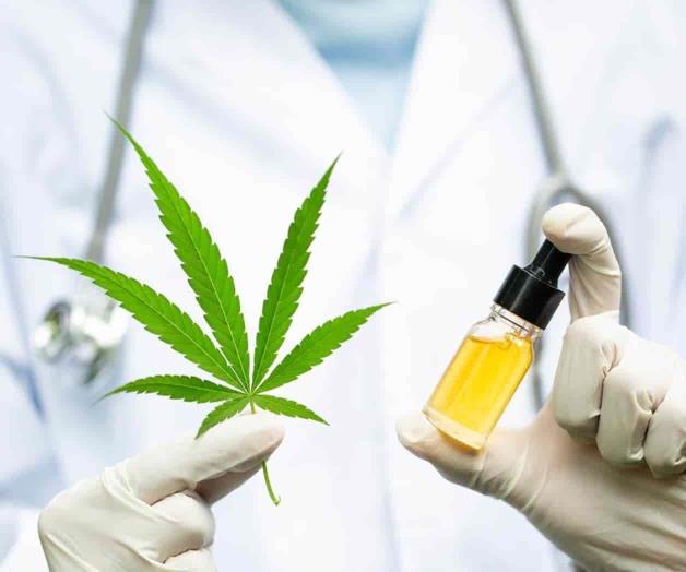 Avalan uso de cannabis Avalan uso de cannabis