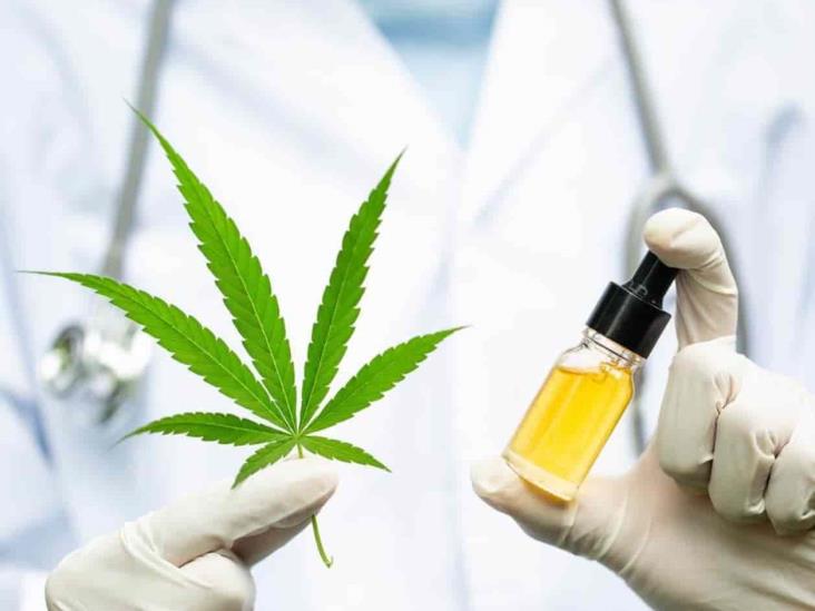 Avalan uso de cannabis Avalan uso de cannabis