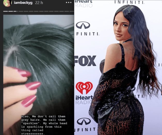 Seduce con sus canas Seduce con sus canas