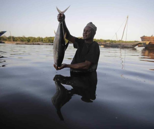 Grupos oceánicos piden más transparencia a agencias de pesca