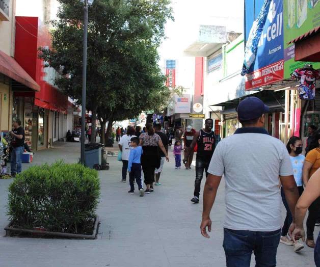 Ignoran las causas; enfrentan la crisis Ignoran las causas; enfrentan la crisis