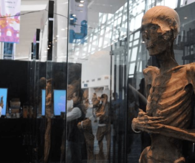 Aparecen hongos en momias de Guanajuato