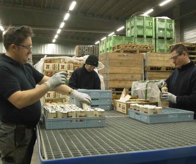 Champaña de las cervezas provoca espumarajos a productores