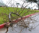 Las tormentas y descargas eléctricas los dejan sin luz